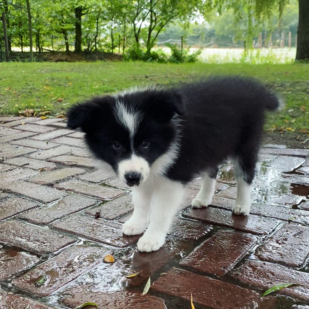 Quinn