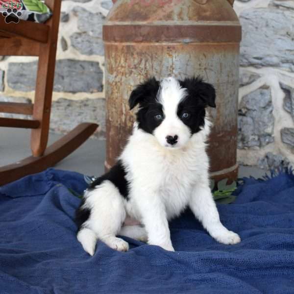 Charlie